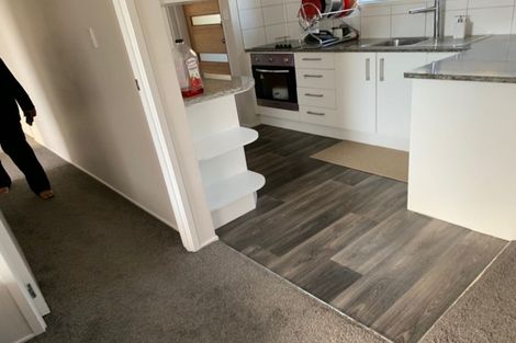 Photo of property in 55 Moncrieff Avenue, Clendon Park, Auckland, 2103