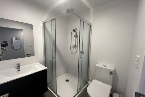 Photo of property in 47 Ivy Nola Way, Henderson, Auckland, 0612