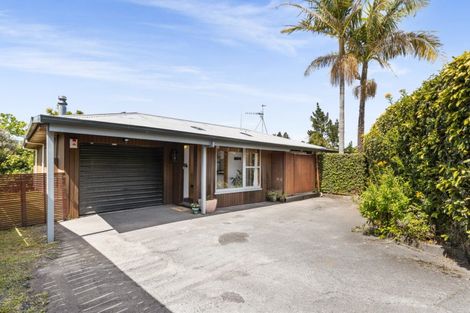 Photo of property in 51 Kingswood Road, Brookfield, Tauranga, 3110