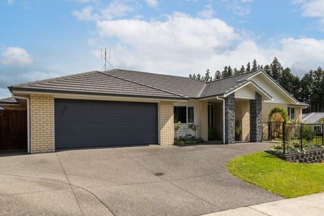Photo of property in 17 Layla Place, Katikati, 3178