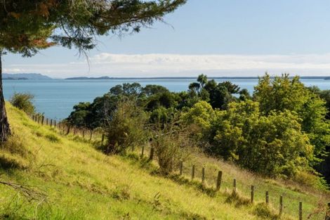 Photo of property in 331 Pahoia Road, Whakamarama, 3172