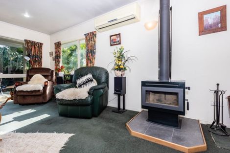 Photo of property in 293a Ormond Road, Mangapapa, Gisborne, 4010