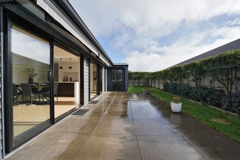 Photo of property in 39 Avian Place, Flagstaff, Hamilton, 3210