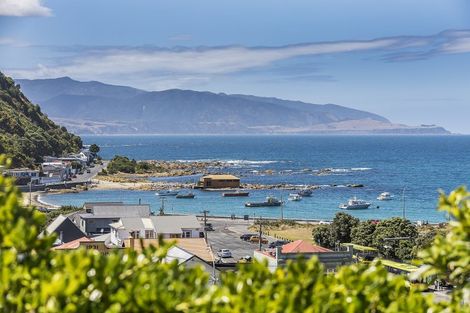 Photo of property in 156 Derwent Street, Island Bay, Wellington, 6023