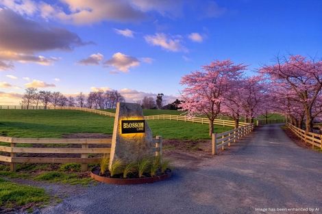 Photo of property in 84 Overdale Road, Putaruru, 3483