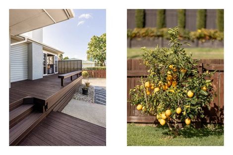 Photo of property in 15 Dunlop Road, Te Puke, 3119