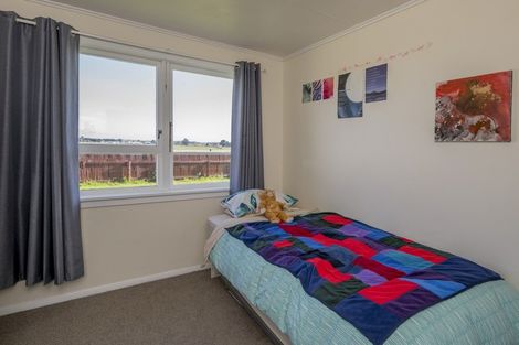 Photo of property in 24 Mahoe Street, Levin, 5510