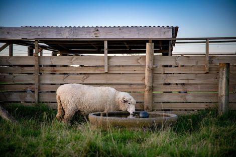 Photo of property in 26 Riverlea Downs, Broadlands, Reporoa, 3081