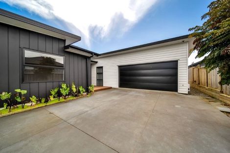 Photo of property in 41 Cyrus Street, Whalers Gate, New Plymouth, 4310