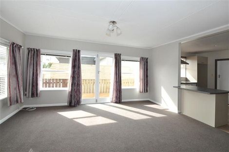 Photo of property in 17a Elzy Street, Blenheim, 7201