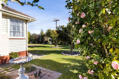 Photo of property in 14 Girling Avenue, Mayfield, Blenheim, 7201