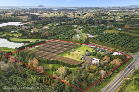 Photo of property in 11 Gill Lane, Te Puna, Tauranga, 3174