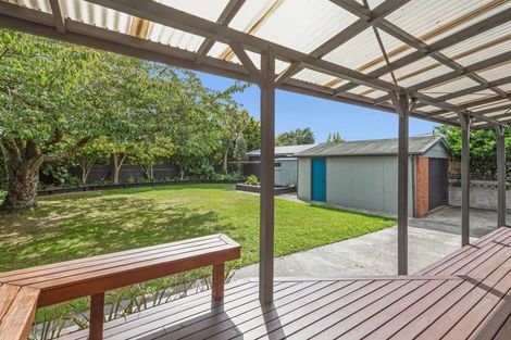 Photo of property in 56 Windsor Street, Terrace End, Palmerston North, 4410