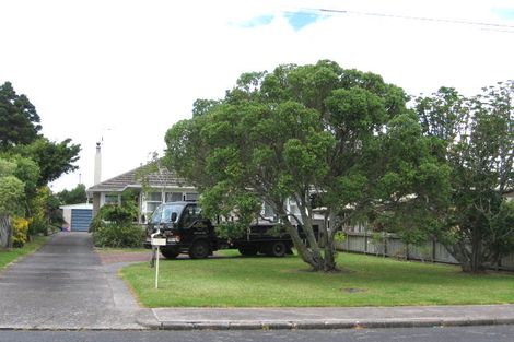 Photo of property in 64 Webster Avenue, Mount Roskill, Auckland, 1041