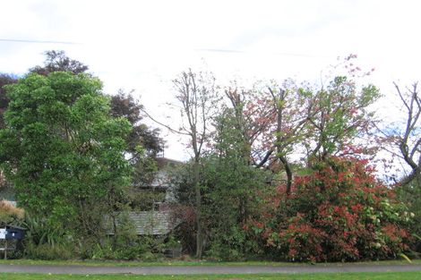 Photo of property in 1/55 Hinekura Avenue, Taupo, 3330
