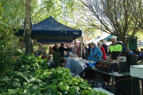 Photo of property in 11 Johnson Avenue, Amberley, 7410