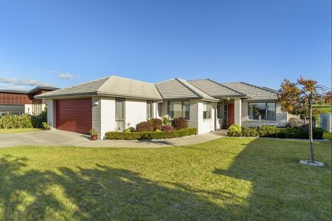 Photo of property in 12 Vantage Place, Omokoroa, 3114