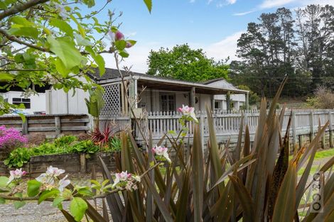 Photo of property in 25 School Road, Waimauku, 0881