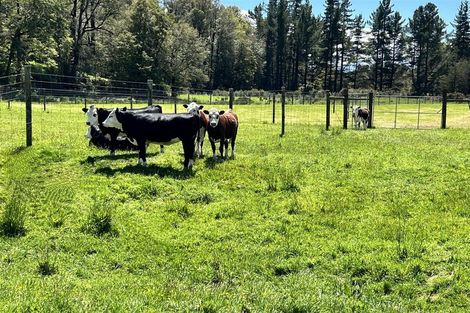 Photo of property in 8 Moonlight Road, Atarau, Blackball, 7871