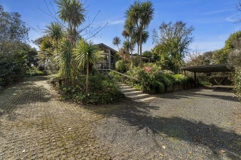 Photo of property in 5 Addison Street, Leamington, Cambridge, 3432