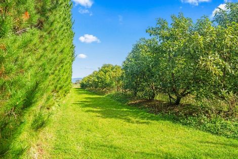Photo of property in 4790 State Highway 12, Kaikohe, 0473