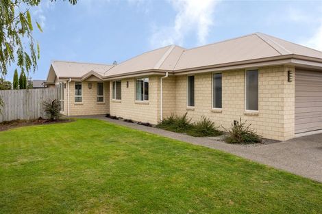 Photo of property in 23 Tremorne Avenue, Blenheim, 7201