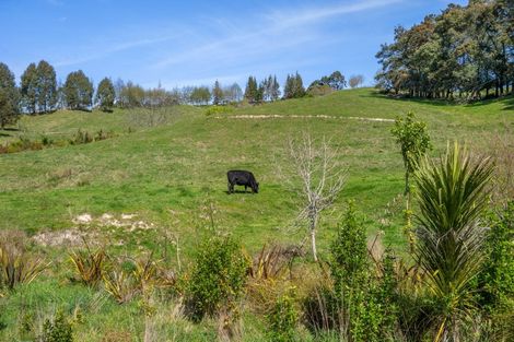 Photo of property in 370 Rosedale Road, Upper Moutere, 7175