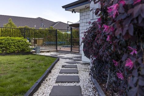 Photo of property in 53 Grigg Drive, Witherlea, Blenheim, 7201