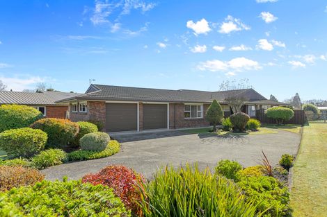 Photo of property in 1 Findlater Street, Matamata, 3400