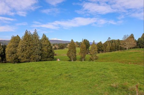 Photo of property in 39 Otapouri Road, Owhango, 3989
