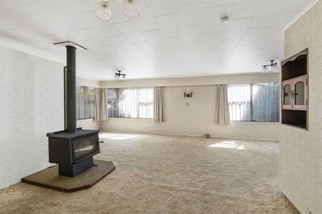 Photo of property in 63 Macarthur Street, Levin, 5510