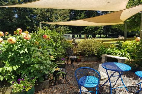 Photo of property in 5 Sydney Street, Takapau, 4203