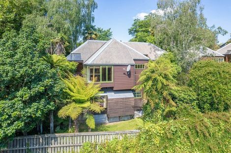 Photo of property in 8 Cook Street, Hamilton East, Hamilton, 3216