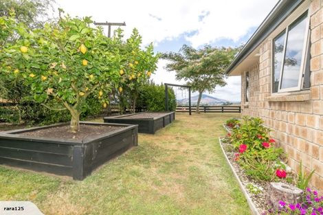 Photo of property in 125 Te Tahi Road, Puketotara, Te Awamutu, 3876