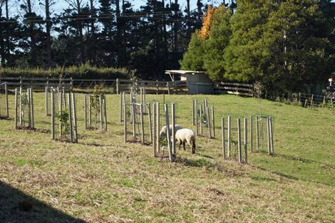 Photo of property in 167 Wymer Road, Glenbrook, Waiuku, 2681