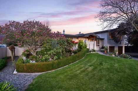 Photo of property in 19 Burden Street, Redwoodtown, Blenheim, 7201