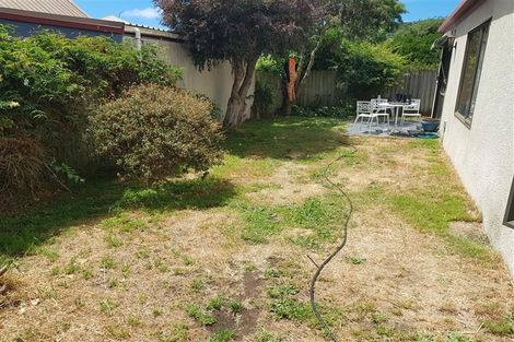 Photo of property in 3 Whitfield Street, Sumner, Christchurch, 8081