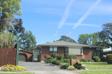 Photo of property in 53 Leefield Street, Blenheim, 7201