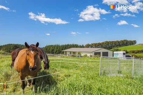 Photo of property in 163 Akatore Road, Taieri Beach, Brighton, 9091