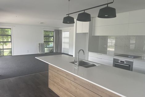 Photo of property in 111 Whakaturou Crescent, Pyes Pa, Tauranga, 3112