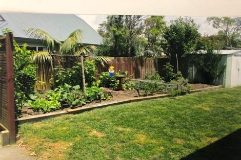 Photo of property in 40b Monowai Street, Mount Maunganui, 3116