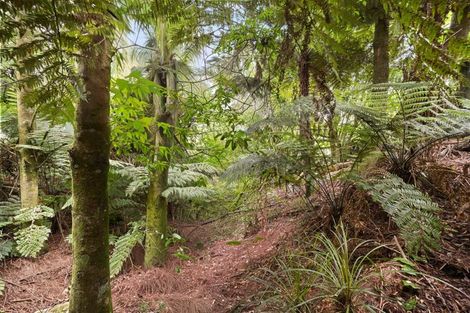 Photo of property in 33f Glentui Lane, Whatawhata, Hamilton, 3293