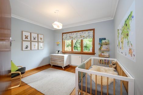 Photo of property in 174 Signal Hill Road, Opoho, Dunedin, 9010