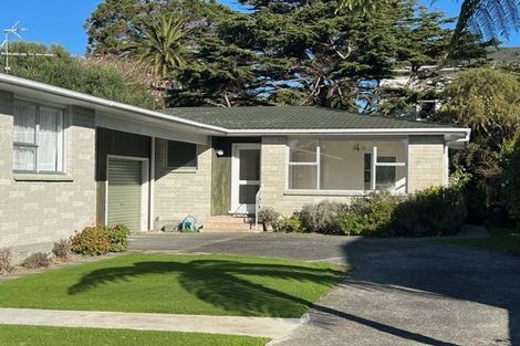 Photo of property in 8a Copeland Street, Hutt Central, Lower Hutt, 5011