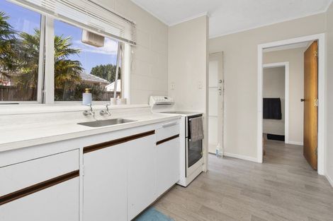 Photo of property in 45 York Street, Hamilton East, Hamilton, 3216