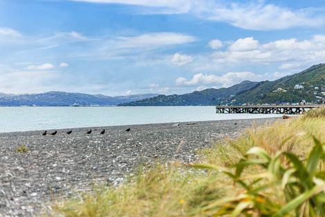 Photo of property in 105 Marine Parade, Eastbourne, Lower Hutt, 5013