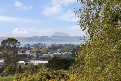 Photo of property in 244a Lindemann Road, Tahawai, Katikati, 3170