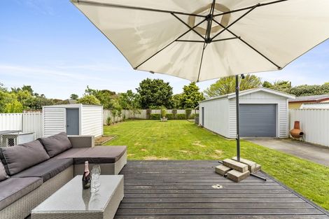 Photo of property in 57 Manson Street, Terrace End, Palmerston North, 4410