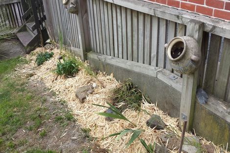 Photo of property in 4 Wilson Street, Seaview, Timaru, 7910