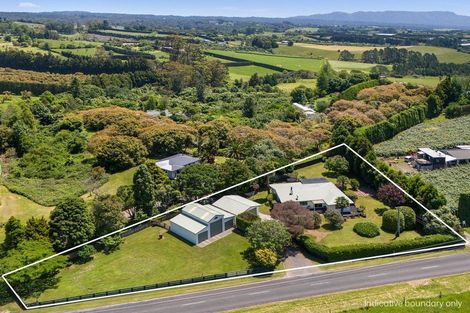 Photo of property in 474 Youngson Road, Whakamarama, Tauranga, 3179